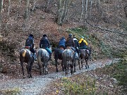 Monte Gugliemo dal sentiero nel Bosco degli Gnomi il 23 dicembre 2014   - FOTOGALLERY